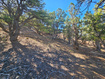 Photo 6 for 45465 W Airport Rd