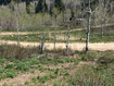 Photo 6 for 1986 S Pine Meadow Dr