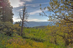 Photo 1 for 1986 S Pine Meadow Dr