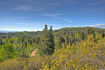 Photo 4 for 1986 S Pine Meadow Dr