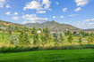 Photo 4 for 984  Uri Ln #3