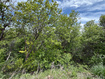 Photo 2 for 1517 S Mahogany Dr