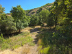 Photo 5 for 402 S 402 Loafer Canyon Road 402