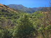Photo 3 for 402 S 402 Loafer Canyon Road 402