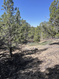 Photo 2 for 292 E Highway 89