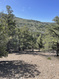 Photo 1 for 292 E Highway 89