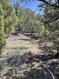 Photo 4 for 292 E Highway 89