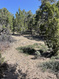 Photo 3 for 292 E Highway 89