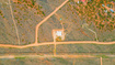 Photo 3 for Thunder Ridge Rd