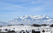 Photo 1 for 2687 E Boulder Top Way