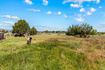 Photo 6 for 1716 S Old Highway 91