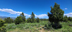 Photo 2 for 18000 S Alta Dr #d13