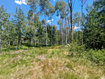 Photo 1 for 10579 E Fir Run Dr