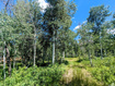 Photo 4 for 10579 E Fir Run Dr