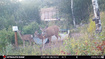 Photo 4 for 28  Moose Horn Rd,  #28
