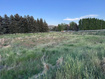 Photo 6 for 1475 E Center Creek Dr