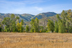 Photo 4 for 4315 N Old Ranch Rd