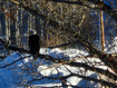 Photo 5 for Address Not Available