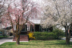 Photo 1 for 201  Bannock St