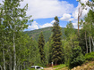 Photo 1 for 84  Mountain Springs Dr