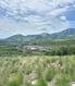 Photo 2 for 1277 W Skyridge Dr