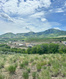 Photo 5 for 1277 W Skyridge Dr