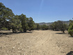 Photo 4 for 35700  Strawberry River Rd