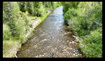 Photo 1 for 829  River Haven Ln