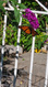 Photo 6 for 4213 S 2850 W