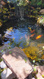 Photo 6 for 4213 S 2850 W