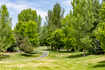 Photo 5 for 1123  Dutch Fields Pkwy