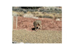 Photo 4 for 108  Trapper Cir #a