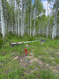Photo 3 for 21829 E Alta Dr