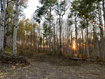 Photo 4 for 21829 E Alta Dr