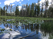 Photo 1 for 2045  Stillwater Loop