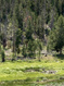 Photo 2 for 2045  Stillwater Loop