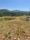 Photo 1 for 13008 E Pine Rd