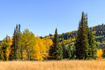 Photo 5 for 325  White Pine Canyon Rd