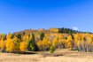 Photo 6 for 325  White Pine Canyon Rd