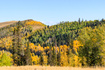 Photo 5 for 325  White Pine Canyon Rd