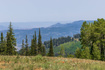 Photo 1 for 325  White Pine Canyon Rd