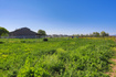 Photo 6 for 2073 S Allen Rd