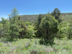 Photo 5 for 1361  Swan Creek Rd