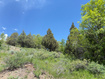 Photo 2 for 1361  Swan Creek Rd