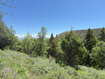 Photo 4 for 1361  Swan Creek Rd