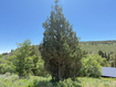Photo 3 for 1361  Swan Creek Rd