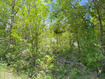 Photo 1 for 1361  Swan Creek Rd