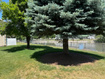 Photo 4 for 1512 S Talon Dr