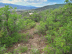 Photo 3 for 5  Red Fox Way