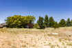 Photo 3 for 9942 S Altamont Dr